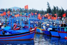 Ngư dân Quảng Ngãi trúng đậm cuối năm