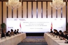 Vietnam, Singapore firms partner up to develop 2.5-bln-USD project in Bac Giang