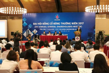 Viglacera phát huy nội lực doanh nghiệp vật liệu xây dựng và kinh doanh BĐS hàng đầu