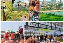 Chỉ đạo, điều hành của Chính phủ, Thủ tướng Chính phủ nổi bật tháng 8/2016