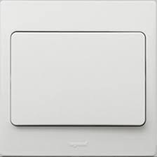 WHITE 1G 1W 20A SP SWITCH     