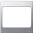 SILVERM BLANK 1G              